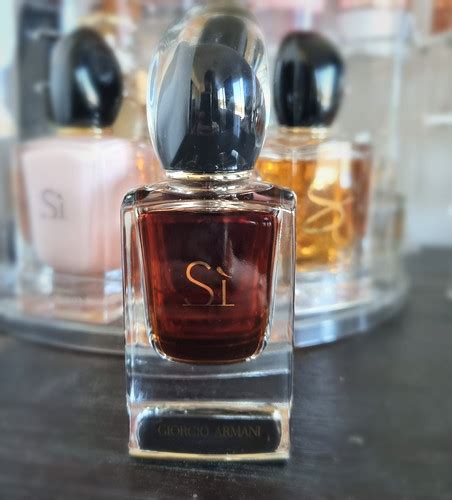 other scents similar to si by giorgio armani